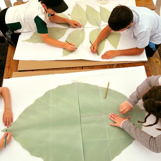 Retour sur la semaine 1 – du 20 au 24 juilletDans le cadre du dispositif « Patrimoine en partage » du ministère de la Culture, Heruditatem s'est associée au service Patrimoine de la Ville de Vandœuvre-lès-Nancy et à la MJC Lorraine pour deux semaines de stages dédiées à la découverte du patrimoine.Une quarantaine d'enfants ont exploré le patrimoine de Vandœuvre-lès-Nancy Village à travers un programme mêlant découverte, expérimentation et création.Au programme de cette première semaine :• un jeu de piste dans le village pour observer et comprendre le territoire ;• des ateliers de maquettes autour de la thématique du patrimoine non bâti (la deuxième semaine étant consacrée au patrimoine bâti) ;• une journée de découverte du patrimoine de la ville de Toul, afin d'ouvrir le regard sur un autre territoire.Une semaine riche en observations, en échanges et en créations pour découvrir le patrimoine autrement.